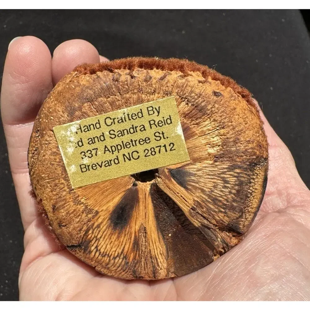 Banksia Seed Pod Candle Holder From Australia Hollow Handcrafted -A56